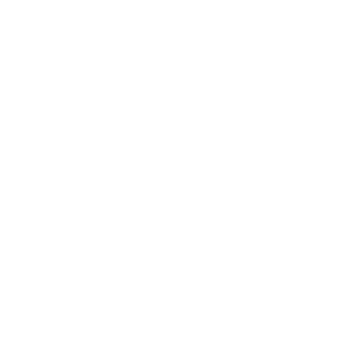 Emir official Logo